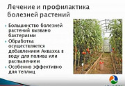 Дезинфекция воздуха, повышение урожайности теплиц, парников Санкт-Петербург