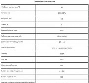 Паровой туннель модель 1000-8/1-25 Санкт-Петербург