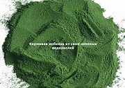 Оборудование сбора и переработки сине-зеленых водорослей Астрахань