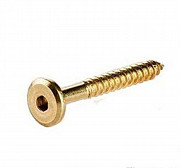 Шуруп мебельный с внутренним шестигранником латунированный Новосибирск