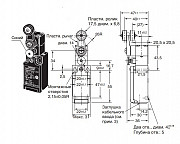 D4N-2A20R Концевой выключатель безопасности, Рычаг с роликом (пластм. рычаг, пластм. ролик), 1NC/1NO Москва