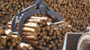 Новые гидравлические грейфера для леса Margo от производителя Москва