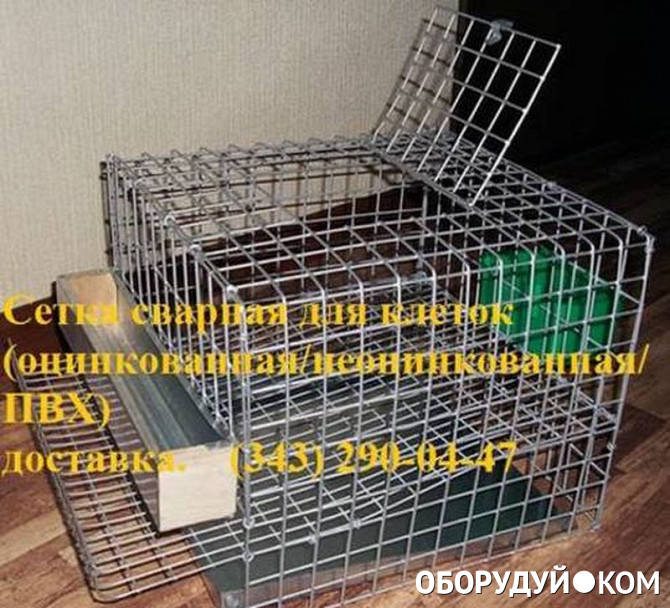Клетка из металлической сетки. Сетка для клеток перепелов размеры ячейки. Сетчатая клетка. Металлическая сетка для кроликов. Сетка металлическая окрашенная.