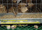 Сетка для изготовления клеток для перепелов Екатеринбург