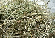 Пресс для брикетирования и упаковки сена-соломы Вологда