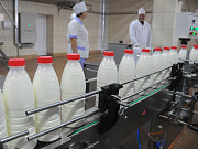 Линия розлива молока в ПЭТ бутылку, до 500 б/час (на основе триблока розлива) Казань