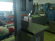 Пила ленточная настольная ПМ ФПЛ 250 Старый Оскол