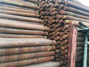 Поковка ЕО 2088 ОС - 36 000 рублей без учета НДС Москва