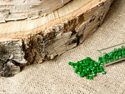 Вторичный полиэтилен, полистирол, полипропилен, трубный полиэтилен. Полимерное сырье Москва