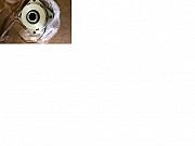 Муфта электромагнитная CED-9 Челябинск