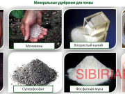 Приобретаем Минеральные удобрения Новосибирск