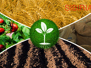 Приобретаем агрохимию Новосибирск