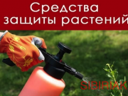 Приобретаем СЗР и другую агрохимию Новосибирск