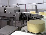 Линия для производства сыра Краснодар