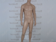 Манекен мужской 186см, 100-79-97см, волосы скульптурные, короткие, цвет рыжий JMN 01(K) Челябинск
