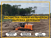 Расчистка участка мульчером от 1 Га, спил деревьев Армавир
