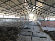 Система навозоудаления Joz Чудово