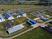 Молочно-товарная ферма на 1200 голов дойного стада Чудово