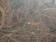 Кордовая проволока металлическая Луганск, Металлокорд, корд металлический боковой, бортовое кольцо Донецк