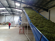 Ленточный конвеер Москва