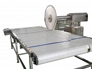 Дисковая пила для разделки полутуш ART-750 Ивантеевка