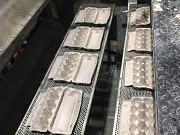 Оборудование для переработки макулатуры (пр-во лотков для яиц и др. видов упаковки) Москва