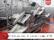 Автоматическую линию для обработки кишок КРС Feleti от производителя Москва