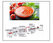 Линия переработки томатов 150 кг в час, линия для производства томатной пасты Новочеркасск