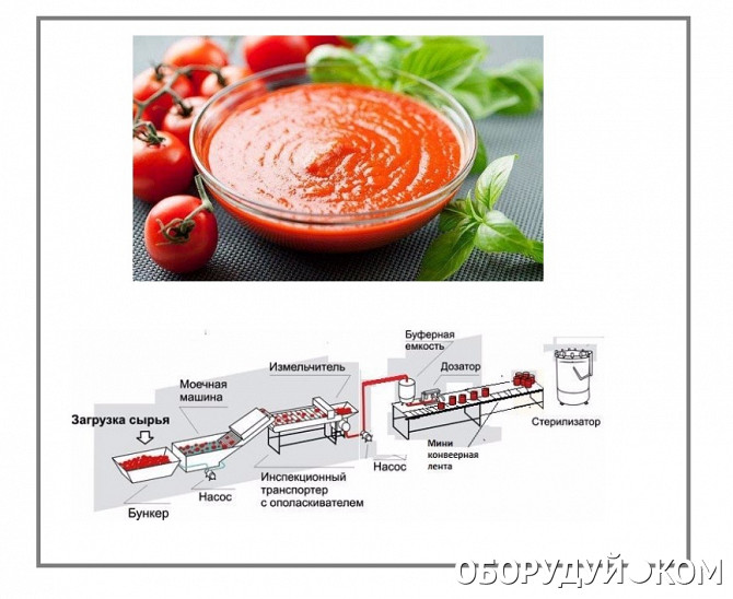 Технологическая схема производства томатной пасты