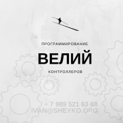 Ремонт и модернизация замена контроллера на термопластавтоматов в москве Б/У Москва