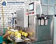 Машина для яблоко чистки 400 кг/час и удаления сердцевины с косточками Москва