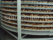 Спиральный охлаждающий кулер Орион для охлаждения хлебобулочных и кондитерских изделий Ижевск